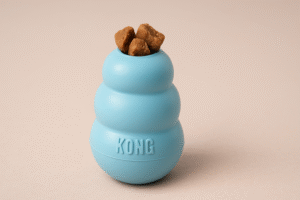 Kong Puppy Classic teething toy filled with treats
