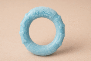 frozen Nylabone teething ring for puppies