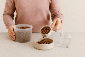 Preparing puppy food and water for daily feeding routine.