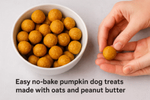 Easy no-bake pumpkin dog treats made with oats and peanut butter