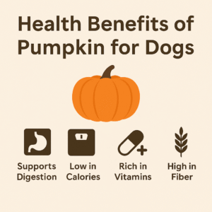 Health benefits of pumpkin for dogs with digestion and vitamin icons