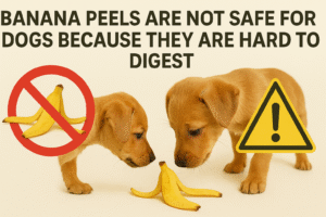 Banana peels are not safe for dogs because they are hard to digest.