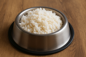 plain white rice for dogs with diarrhea”