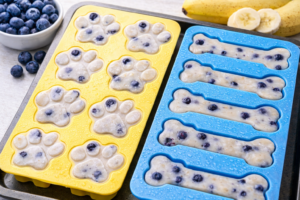frozen blueberry banana dog treats for dogs