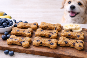 6 Blueberry Banana Dog Treat Recipes (Healthy & Homemade)