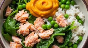 salmon and spinach homemade dog food for senior dogs