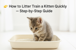 Cute kitten learning to use a litter box at home