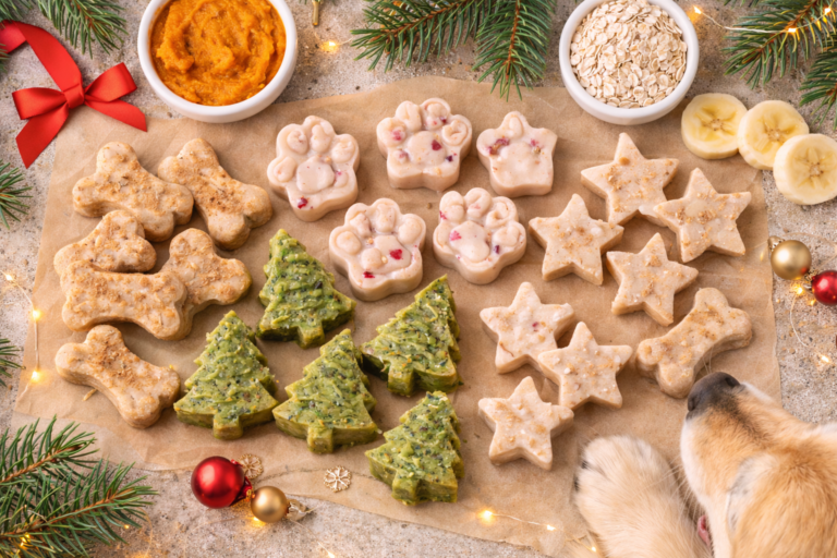 homemade Christmas dog treat recipes festive and dog safe