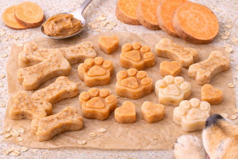 peanut butter sweet potato dog treats homemade and dog safe