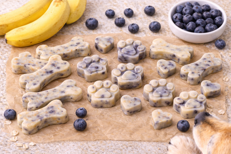 blueberry banana dog treats homemade and healthy